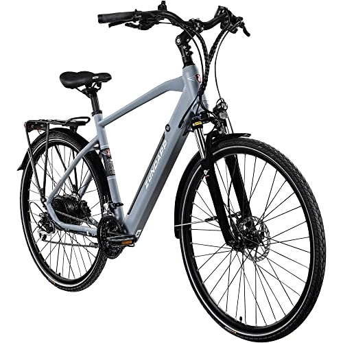 Elektrofahrräder : Zündapp Z810 Herren E-Bike Trekkingrad Pedelec E-Trekkingrad Fahrrad Trekking Bike StVZO (grau, 52 cm)