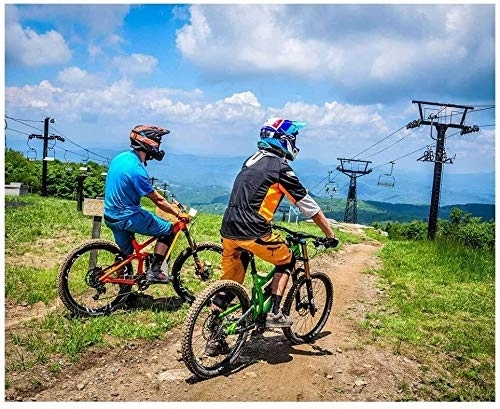Mountainbike : Aoyo Mountain Bikes, Bike, Fahrrad, Fully, 26-Zoll-21 Geschwindigkeit, Falzen, All Terrain, Berg Fahrrad, MTB, High Carbon Stahlrahmen, (Color : Green)