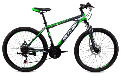 Mountainbike : Bicystar Unisex – Erwachsene MTB 26" Mountainbike, Grau / Grün
