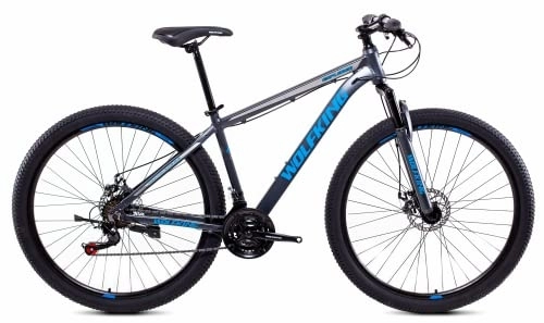 Mountainbike : Bicystar Unisex – Erwachsene wolfking MTB 29" blau Mountainbike, Grau / Hellblau