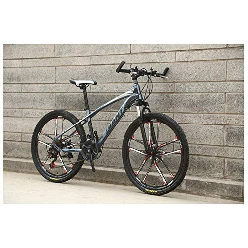 Mountainbike : CENPEN Outdoor-Sport 26 '' HighCarbon Stahl Mountain Bike mit 17 '' Frame Doppelscheibenbremse 2130 Geschwindigkeiten, mehr Farben (Color : Grey, Size : 21 Speed)