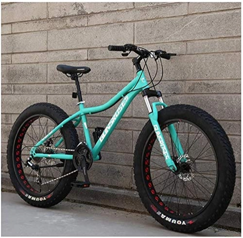 Mountainbike : DING 26-Zoll-Mountainbikes, High-Carbon Stahl Hardtail Mountainbike, Fat Tire All Terrain Mountain Bike, Frauen-Männer Anti-Rutsch-Bikes (Color : Blue, Size : 24 Speed)