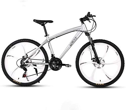 Mountainbike : GLJY 24-Zoll-Mountainbike für Erwachsene, Strand-Schneemobilfahrrad, Doppelscheibenbremsfahrräder, Aluminiumlegierungsräder, Mann Frau Allzweck, Silber, 24speed