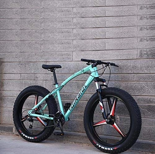 Mountainbike : HYCy Mountainbike Fahrrad Für Erwachsene, Rahmen Aus Kohlenstoffhaltigem Stahl, Doppelscheibenbremse Und Vordere Vollfedergabel