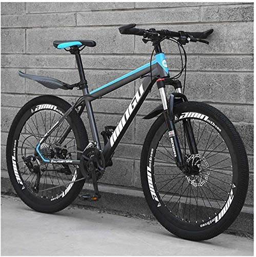 Mountainbike : KEMANDUO Mountainbike 26 Zoll und bis-Rahmen Fahrradscheibenbremsen-Festsitzverstellung, graublaue VTT Geschwindigkeit 21 / 24 / 27 / 30, 24 Speed