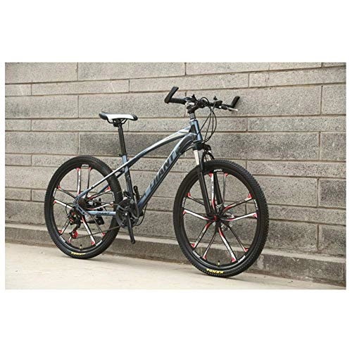 Mountainbike : Mnjin Outdoor-Sport 26 '' Mountainbike aus kohlenstoffhaltigem Stahl mit 17 '' Rahmen Doppelscheibenbremse 21-30 Geschwindigkeiten, mehrere Farben