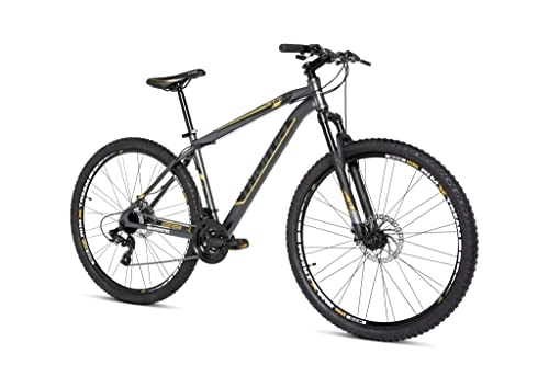 Mountainbike : Moma Bikes Unisex-Adult GTT29-5.0-L-XL BIGTT529G20, GRAU, Normal