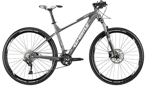 Mountainbike : Mountainbike WHISTLE Modell 2021 MIWOK 2160 27.5" Farbe grau / weiß (L)
