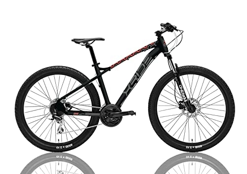 Mountainbike : MTB Fahrrad 29 XFC mit hydraulischer Scheibenbremse 24 V schwarz matt (M)