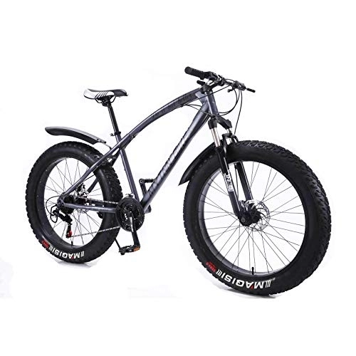 Mountainbike : MYTNN Fatbike 26 Zoll 21 Gang Shimano Fat Tyre 2020 Mountainbike 47 cm RH Snow Bike Fat Bike (Grau Matt Rahmen / Schwarze Felgen)