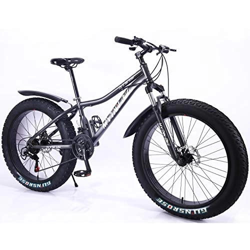 Mountainbike : MYTNN Fatbike neues Style 26 Zoll 21 Gang Shimano Fat Tyre Mountainbike 47 cm RH Snow Bike Fat Bike (grau)