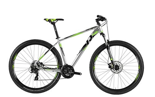 Mountainbike : RAYMON Nineray 1.0 29'' MTB Fahrrad grau / grün 2019: Größe: 52cm