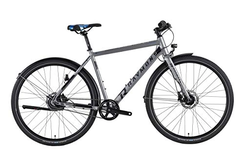 Mountainbike : RAYMON Urbanray 2.0 City Fahrrad grau 2019: Größe: 48cm