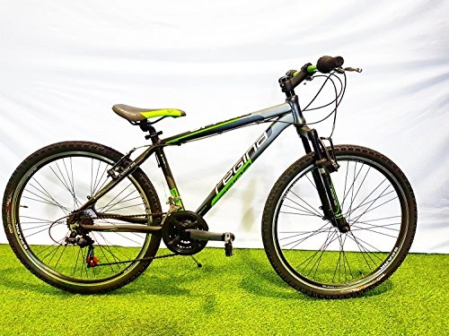Mountainbike : Regina Fahrrad Fahrrad MTB 26 Spark 21 V Schaltung Revoshift Grün