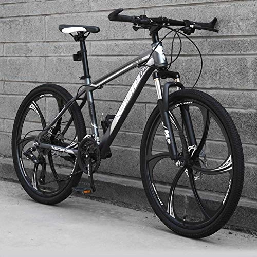 Mountainbike : Relaxbx 21-Gang-Mountainbike für Erwachsene, 24 / 26 Zoll Räder, leichte Carbon-Stahlrahmen-Scheibenbremse, B, 24 Zoll