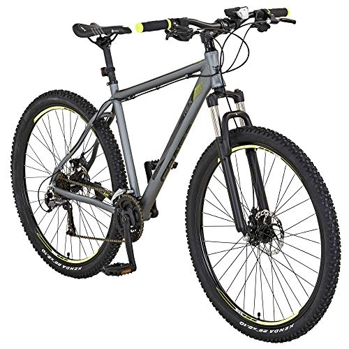 Mountainbike : REX Alu-Mountainbike Graveler 8000 | 29 Zoll | mit LED-Beleuchtungs-Set | 24-Gang SHIMANO Kettenschaltung | silber | Designgriffe | Designsattel | Felgendekor | Fahrrad | Rahmenhöhe 50 cm
