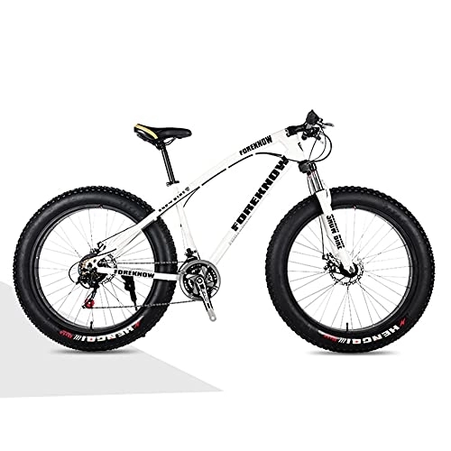 Mountainbike : SHANJ Fat Tire Mountainbikes für Herren und Damen, Erwachsenes vollgefedertes Strandschnee-MTB-Fahrrad, 20 / 24 / 26 Zoll, 21-30 Geschwindigkeiten, Scheibenbremsen