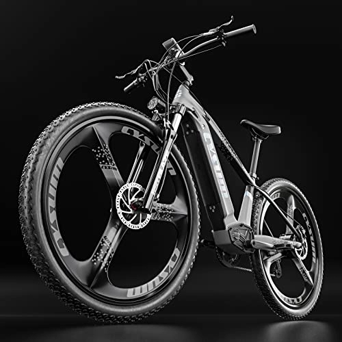 Mountainbike : Speedy / M520 29 Zoll Mountainbike für Erwachsene Mann Frau, MTB mit Shimano 7 Gang Aluminium Rahmen EIN integrierte Räder mit hydraulischer Scheibenbremse (Gray)