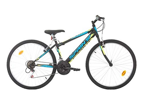 Mountainbike : SPRINT WOODSUN RAID BK19SI1820 Rij6