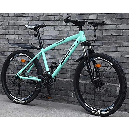 Mountainbike : Stilvolle 24-Gang-Mountainbike-Fahrräder, Doppelscheibenbremse Mountainbike Leichter Carbon-Stahlrahmen, Weiß, 26 Zoll