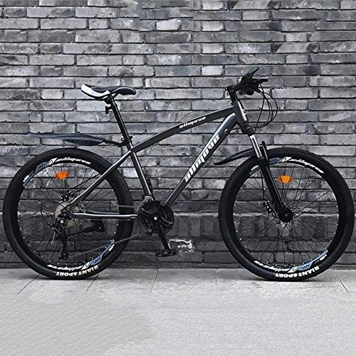 Mountainbike : TRGCJGH Mountainbike Adult 26" Doppelscheibenbremse Fahrrad Aus Kohlenstoffhaltigem Stahl 21 / 24 / 27 / 30 Speed ​​Mountainbikes, C-24speed