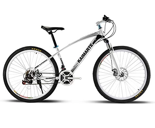 Mountainbike : UR MAX BEAUTY Und Frauen Männer Straße Fahrräder, High Carbon Stahlrahmen, Roll Straßen-Fahrrad-Doppelscheibenbremse Für Fahrräder, c, 26 inch 21 Speed