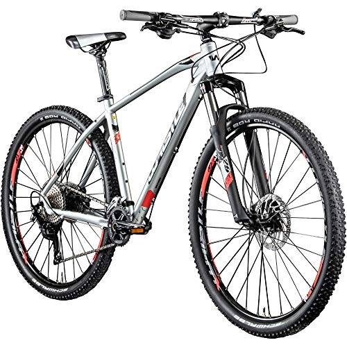 Mountainbike : Whistle Mountainbike 29 Zoll Hardtail MTB Patwin 2050 2020 Fahrrad Mountain Bike (Ultralight / neonrot, 48 cm)