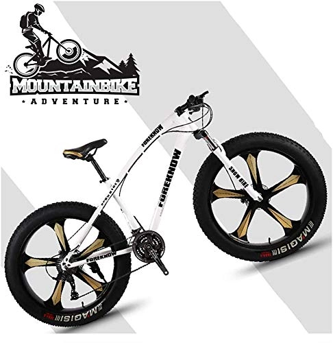 Mountainbike : Wttfc 26 Zoll Hardtail MTB mit Gabelfederung Scheibenbremsen, Erwachsenen Herren Damen Mountainbike, Unisex Fette Reifen Fahrräder Rahmen aus Kohlenstoffstahl, Silver Spoke, 27 Speed