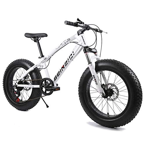 Mountainbike : XNEQ Fat Tire Mens Shift-Mountainbike, Rear-Rad-Scheibenbremsen, Mittelhochfeste Stahlrahmen, 7 / 21 / 24-Gang, 20-Zoll-Räder, 10, 21Speed
