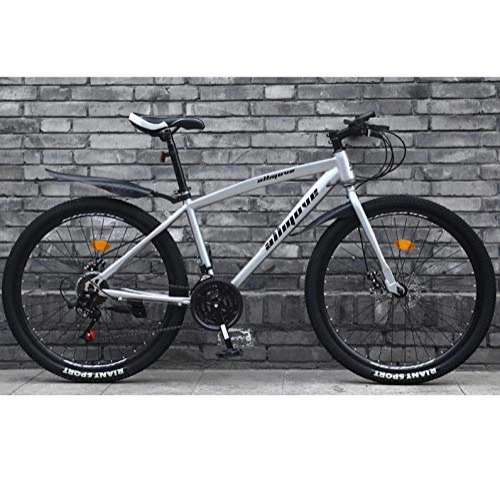 Rennräder : AP.DISHU 24 Zoll Rennrad Doppelscheibenbremse Rahmen Aus Kohlenstoffreichem Stahl Rennrad City Utility Bike, Silber, 21 Speed