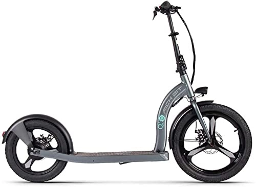 Electric Scooter : RICH BIT Electric Scooter, 36V 350W Brushless Motor Scooter, Front Tire 20" Rear Tire 16" Adult Electric Scooter (Gray)