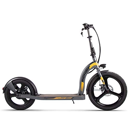 Electric Scooter : RICH BIT H100 Electric Kick Scooter 36V 350W 10.2Ah 20-16 inch Foldable City Scooter for Adults and Children (grey)