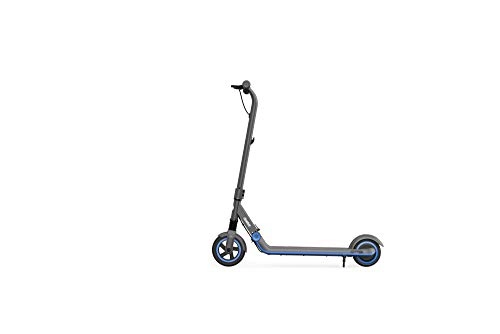 Electric Scooter : SEGWAY E-Scooter Zing E10