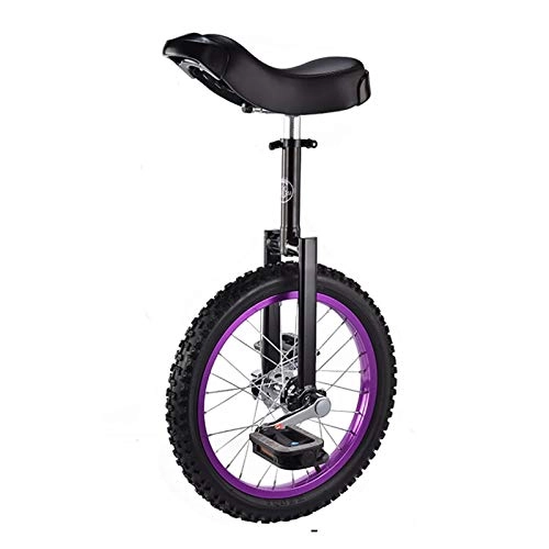 Monocycles : AHAI YU Compétition Monocycle Balance Sturdy 16 Pouces Monocycles pour débutants / Adolescents, avec Roue d'antyle d'étanche à Cyclisme Sports de Plein air Fitness Exercice Santé (Color : Purple)