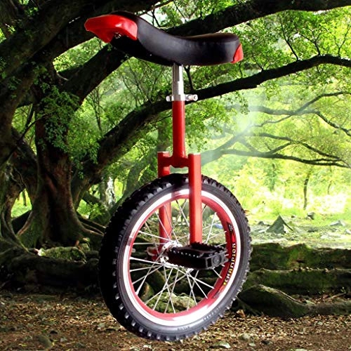 Monocycles : BOT Monocycle Enfant, Enfants Vélo Draisienne, Vélo À Une Roue, Adulte Monocycle Mobilité Acrobatie Monocycle Vélo, Complète Standard Monocycle Scooter Auto Équilibrage (Color : Red, Size : 20in)