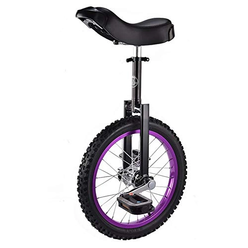 Monocycles : Brouette 16 Pouces Balance Roue Unique Anneau de Couleur vlo vlo Adulte Voiture monocycle acrobatique-Purple