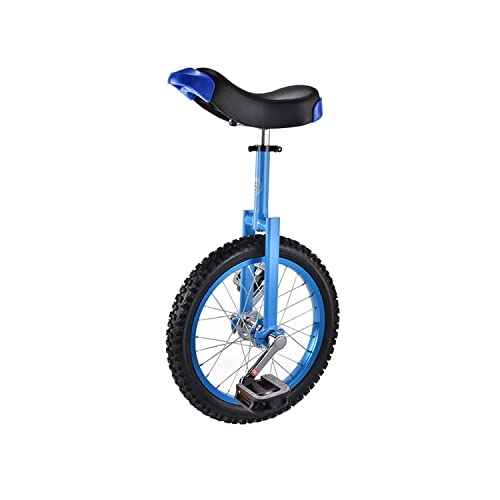 Monocycles : DWXN Monocycle Balance Monte monocycle monocycle Facile Ajustable Seat Style Cyclisme Sports de Plein air Fitness Exercice Balance de santé Vélo 16 Pouces Sky Blue