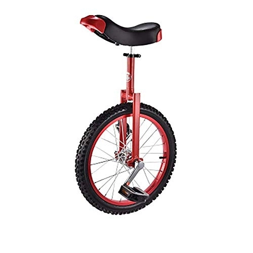 Monocycles : DYB Tricycle pour Enfants, Tricycle présent Trike 16"18" Pouces Roue monocycle étanche Butyl Pneu Roue Cyclisme Sports de Plein air Fitness Exercice santé