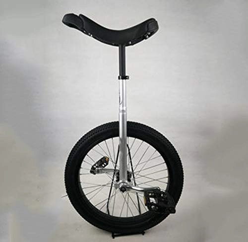 Monocycles : JUIANG avec pédales antidérapantes en Nylon monocycle - Cadre en Acier Robuste vélo à Une Roue - Design Ergonomique Adulte Formateur Monocycle - pour Les débutants Silver