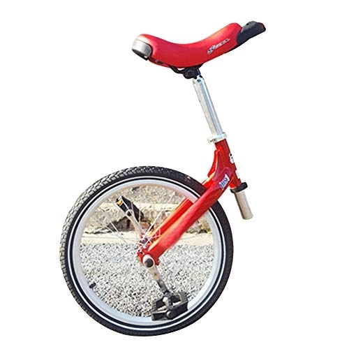 Monocycles : NANANA 20 Pouces Chrome Monocycle Adulte, Équilibre du Vélo d'exercice Pédales Galbée Ergonomique Selle pour Enfants Jeunes Monocycles Débutants