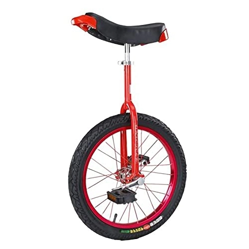 Monocycles : Roue Monocycle Montagne Pneu Vélo Auto Équilibrage Exercice Vélo Sports de Plein Air Fitness Exercice (Rouge 24 Pouces)