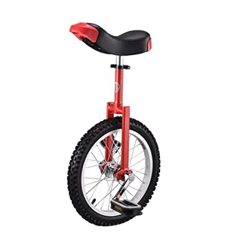 Monocycles : tyui Scooter à vélos de monocycle, vélo de vélo monocycle Bicyclette d'équilibre Roue d'aluminium de monocycle