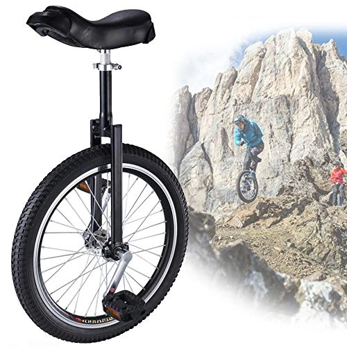 Monocycles : WHR-HARP Monocycle Ajustable 18 Pouces, Pneus Antidérapants, avec Support de Rangement Robuste Balance Cyclisme Exercice Fitness pour Adulte, Débutant, Entraîneur, Black