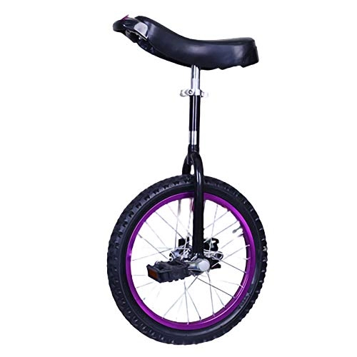 Monocycles : YYLL Violet monocycle Utilisé for Adulte Professionnel Acrobatie monocycle Roue de Bicyclette monocycle Leakproof Butyl Pneu Roue vélo (Color : Purple, Size : 16inch)