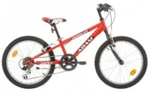 Vélos de montagnes : Adam 24 cm de 20 pouces garçons 6 G velge freins Rouge