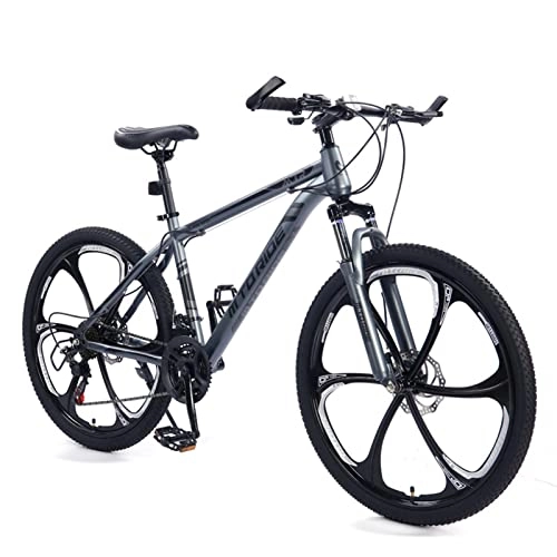 Vélos de montagnes : AZXV VTT Vélo Mécanique Dual-Disc-Freins Absorbant des Chocs Vélo MTB, 21 Vitesses, 26 Pouces Roues, Couleurs Multiples, vélo en Acier à Haute teneur en Carbone pour adul Grey