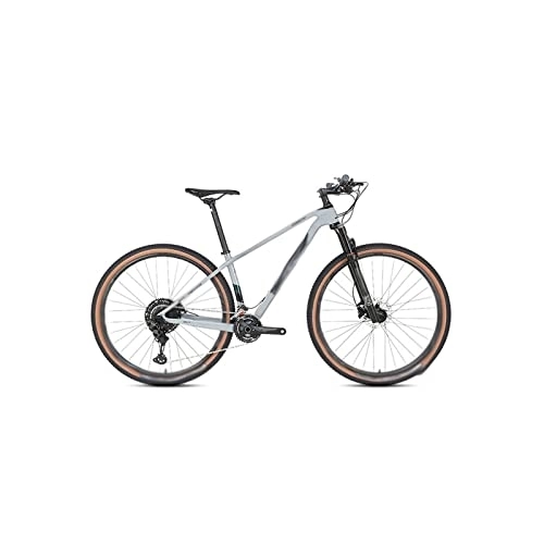 Vélos de montagnes : Bicycles for Adults 24 Speed MTB Carbon Fiber Mountain Bike with 2 * 12 Shifting 27.5 / 29 inch Off-Road Bike (Color : Gray, Size : Large)