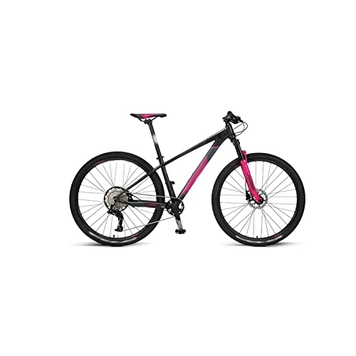 Vélos de montagnes : Bicycles for Adults Mountain Bike Big Wheel Racing Oil Disc Brake Variable Speed Off-Road Men's and Women's Bicycles (Color : Pink, Size : X-Large)