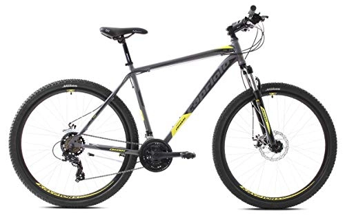 Vélos de montagnes : breluxx® VTT 29" D2 Hardtail FS Oxygen Sport, 21 vitesses Shimano, couleur argentée, jaune mat.