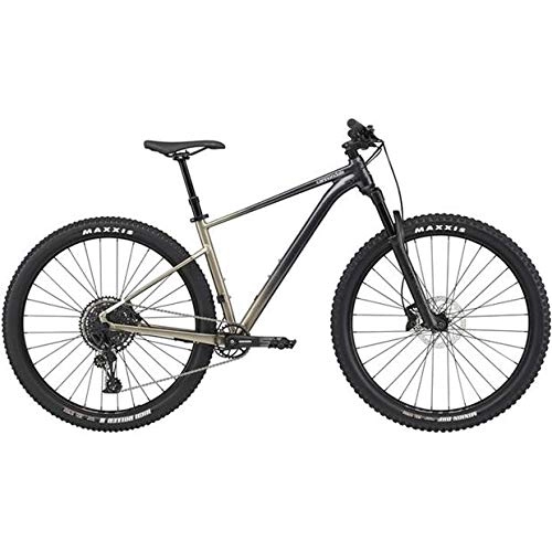 Vélos de montagnes : CANNONDALE Trail SL 1 2021 Meteor Gray